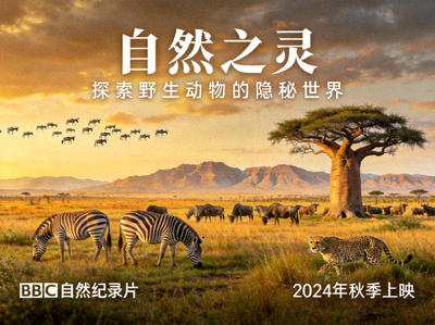 纪录片海报，自然风光与野生动物